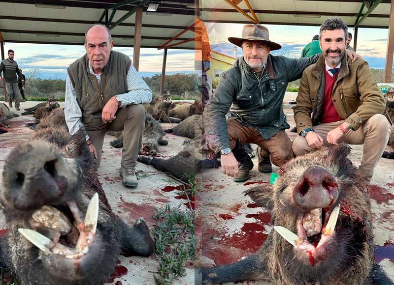 Resultado Montería El Cotano 2 2024 Cabezas S. Caza